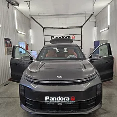 LiXiang L6